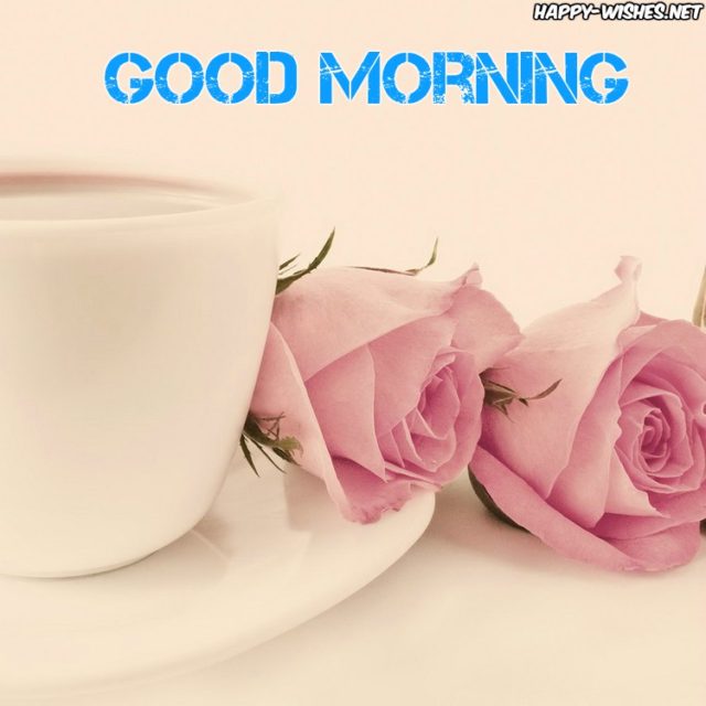 Good Morning Pink Roses Images