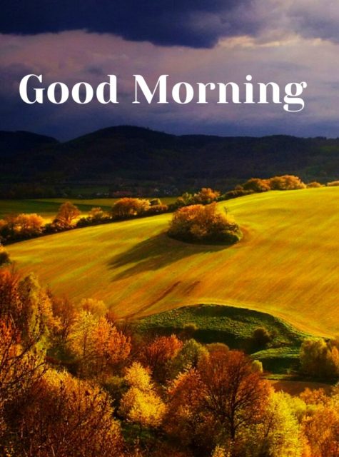 Good Morning Nature Images 17