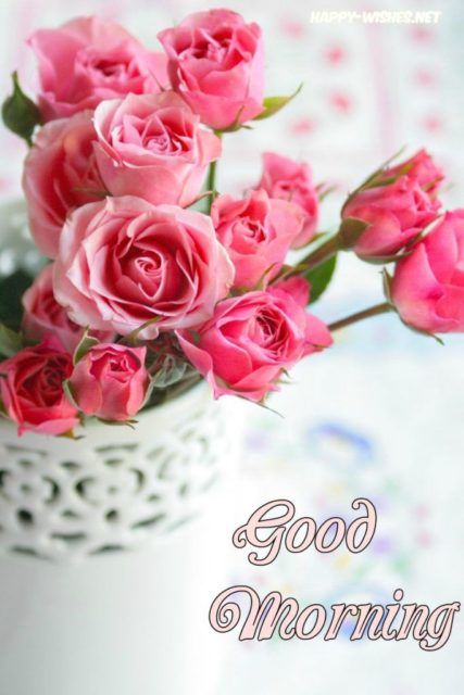 Good Morning Pink Roses 1