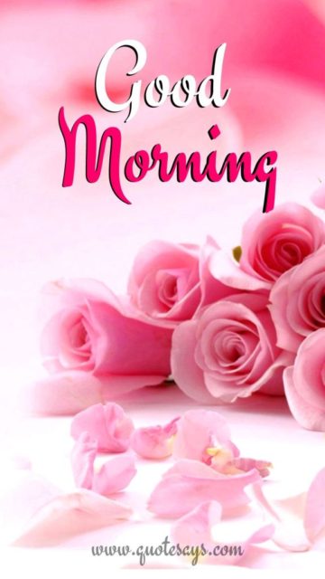 Good Morning Pink Roses 7