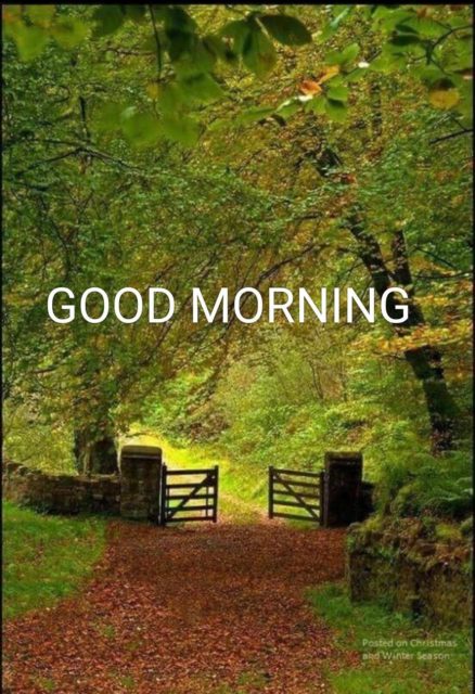Good Morning Nature Images8