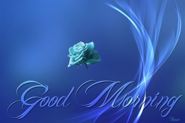 Good Morning Blue Flower 7