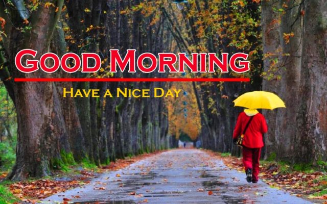 Rainy Day Good Morning Images 7