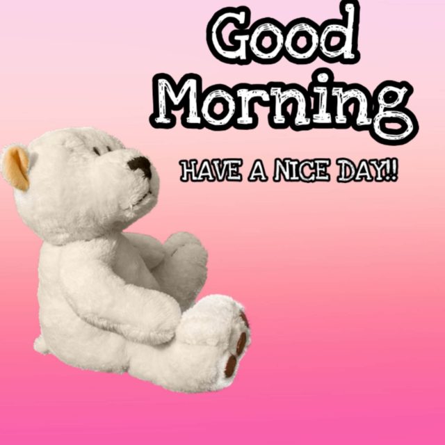 Teddy Bear Good Morning Images 1