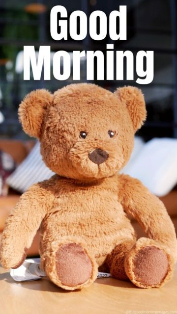 Teddy Bear Good Morning Images 11