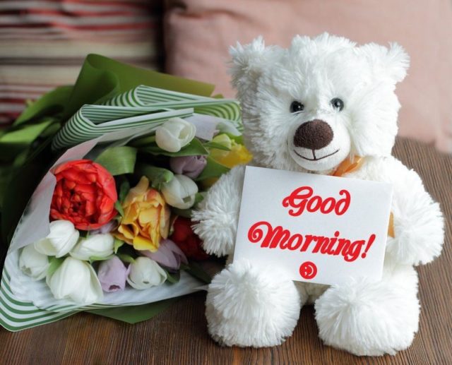 Teddy Bear Good Morning Images 18