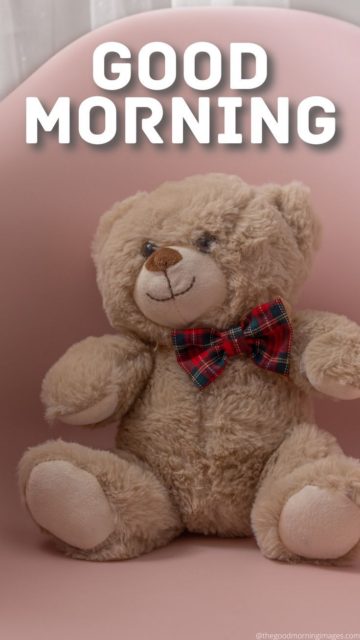 Teddy Bear Good Morning Images 9