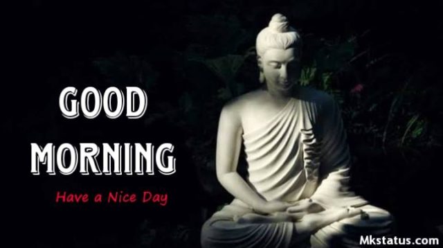 Buddha Images Good Morning 5