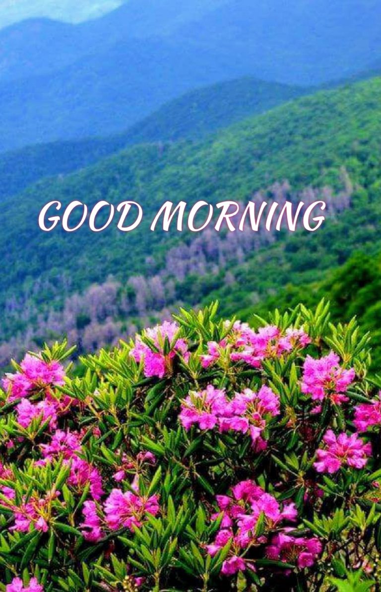 70+ Good Morning Hills Images & Wishes - Good Morning Wishes