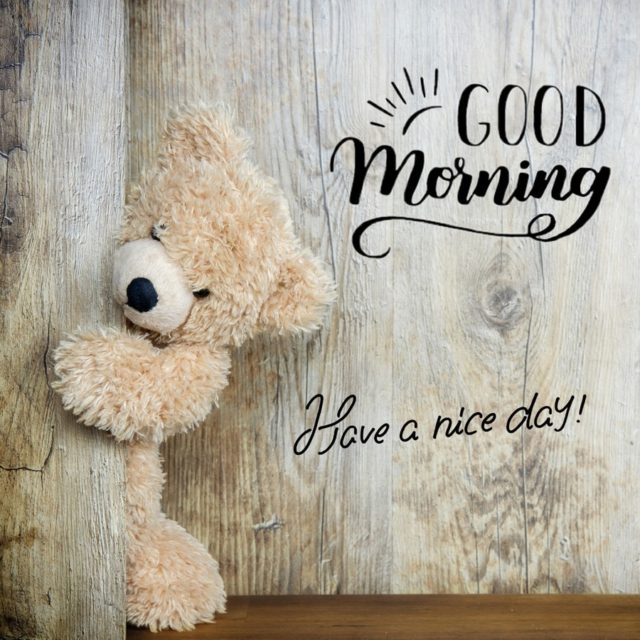 Cute Teddy Bear - Good Morning Gif Pictures, Photos, and Images