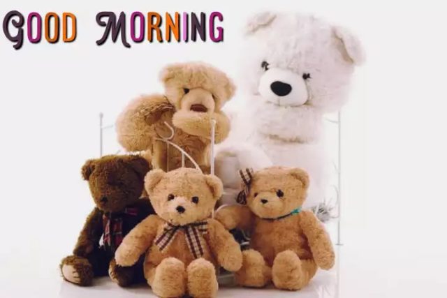 Good Morning Teddy Bear Images (8)