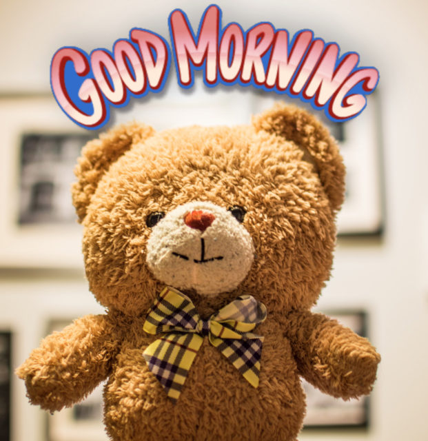 Good Morning With Teddy Bear