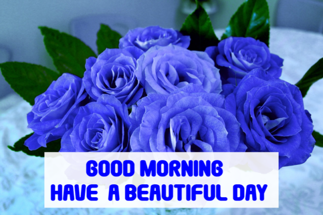 Good Morning Flower Bouquet 564786924