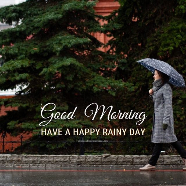 Rainy Good Morning Images 13