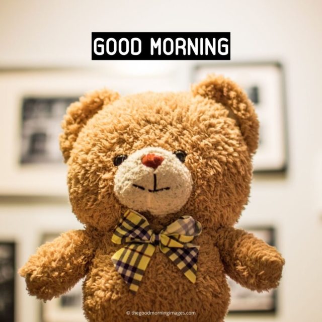 Teddy Bear Good Morning Images 1 1024x1024