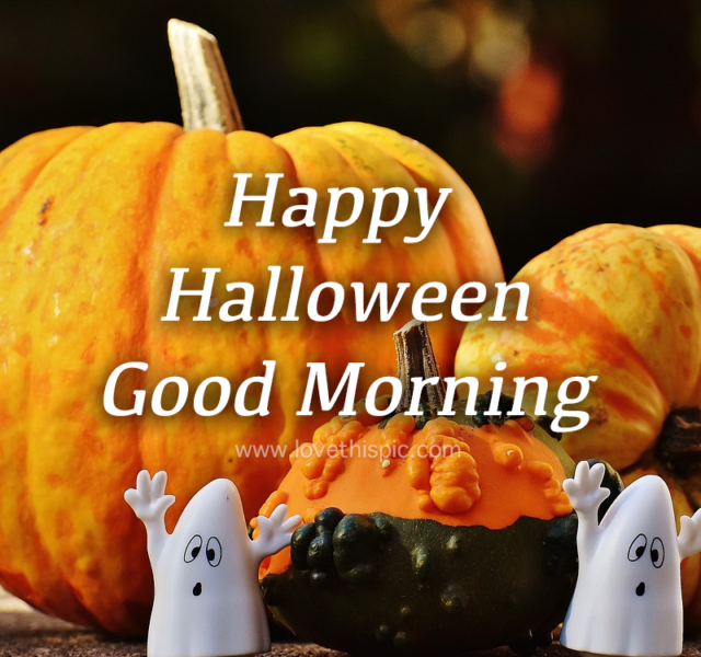 378841 Pumpkin Ghost Happy Halloween Good Morning Quote