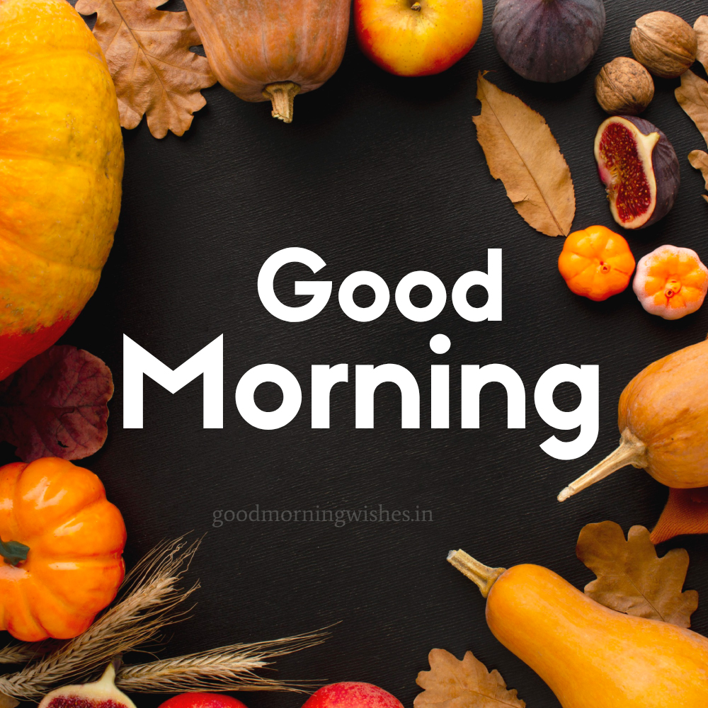 Good Morning & Thanksgiving Wishes and Images