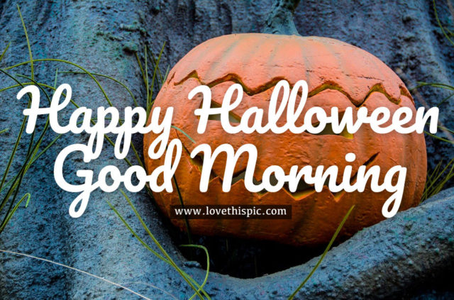 Happy Halloween & Good Morning Wishes5
