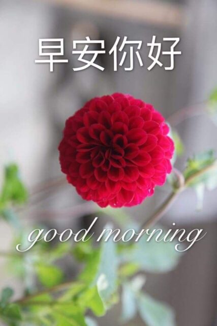 Good Morning Wishes In Chinese4