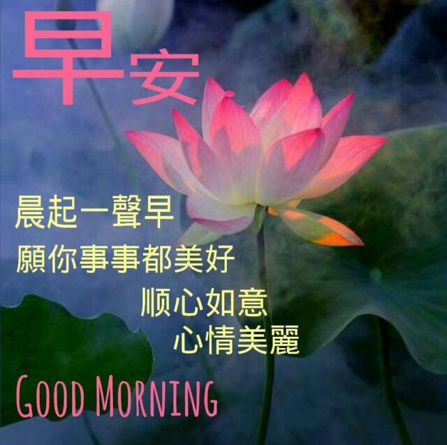 Good Morning Wishes In Chinese8