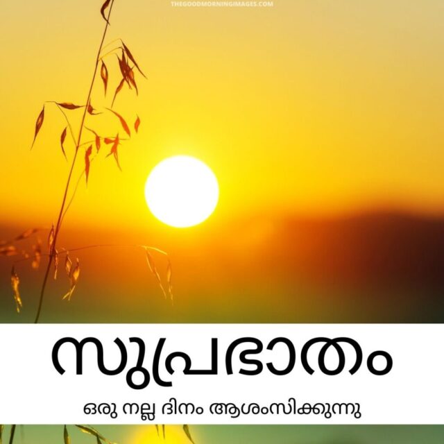 Good Morning Malayalam Images 30 1024x1024
