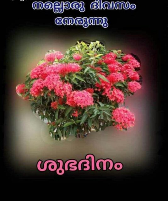 Good Morning Wishes In Malayalam 9