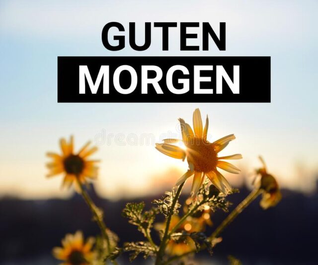  Guten Morgen German Good Morning Title Inspirational Motivating Quote Sunrise Background Yellow Flowers Sun 206276790