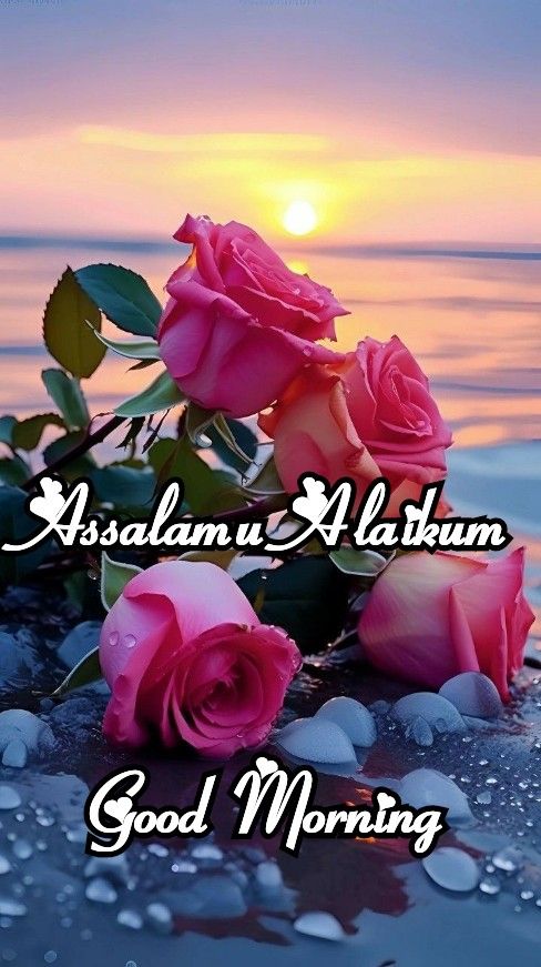 120 Good Morning Assalamualaikum Wishes And Images Good Morning Wishes