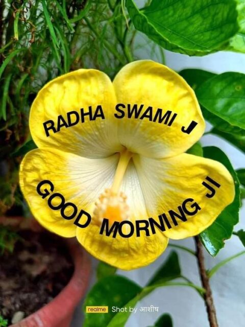 good morning radha soami 