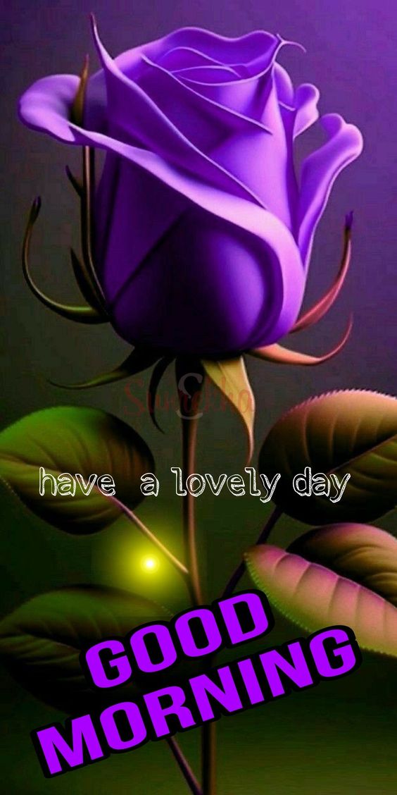 30+ Good Morning Purple Flowers Images - Good Morning Wishes