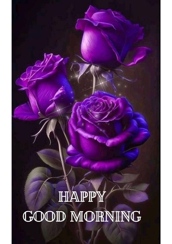 30 Good Morning Purple Flowers Images Good Morning Wishes 7676